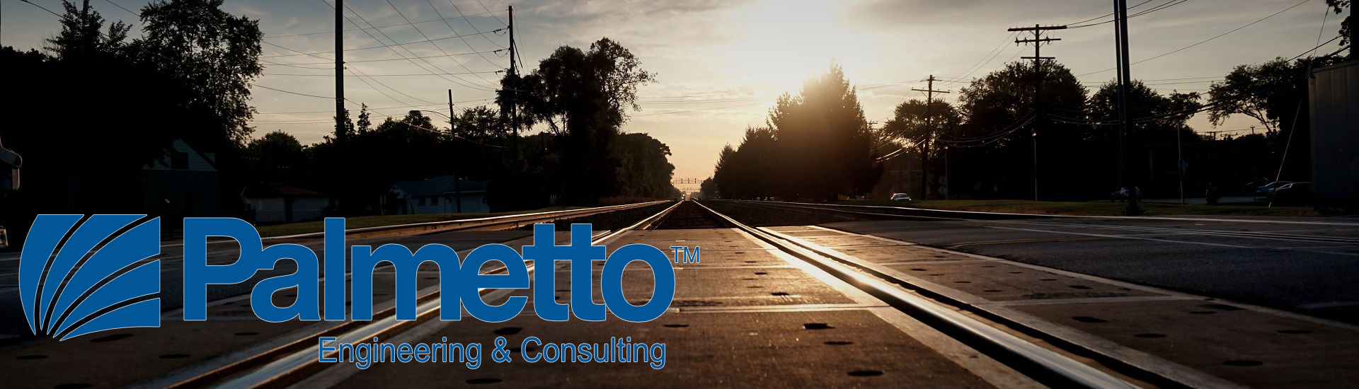 Palmetto Engineering and Consulting Logo